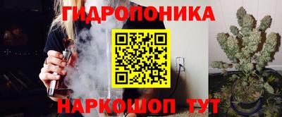 эйфоретик Кандалакша
