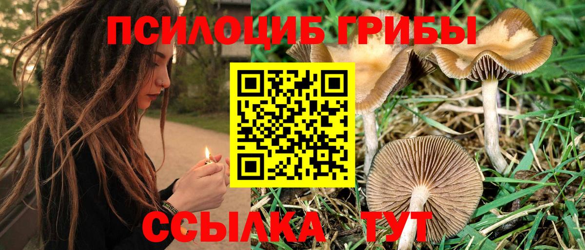 Галлюциногенные грибы мицелий  Вход с VPN  Псилоцибиновые грибы GOLDEN TEACHER  купить наркотик  Красноярск 